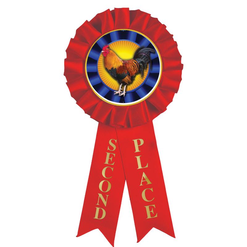 2ND PLACE MYLAR ROSETTES