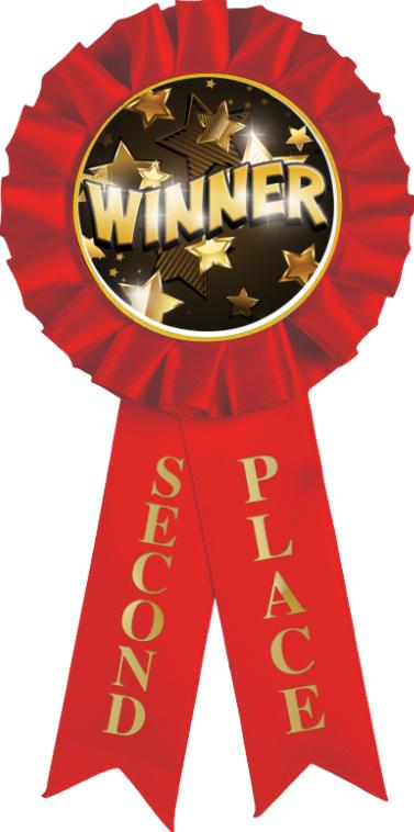 Uxcell Blank Award Ribbon, Rosette Ribbon Honorable Prize Recognition Ribbon Red 12pack