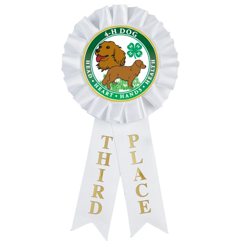 3RD PLACE MYLAR ROSETTES