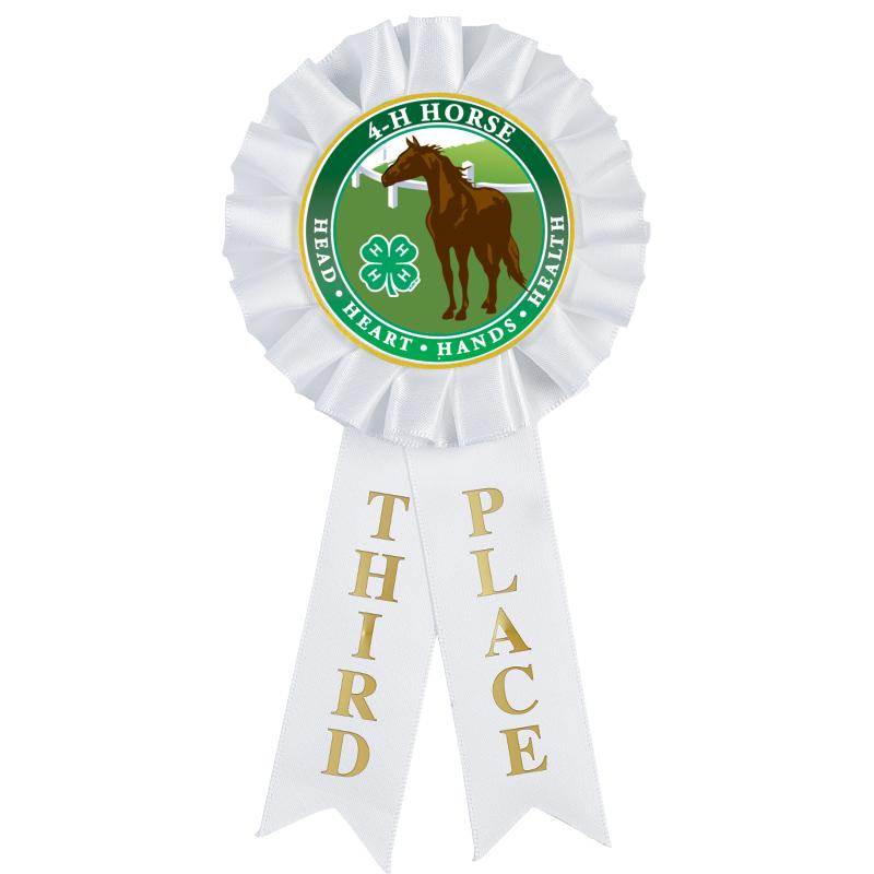 3RD PLACE MYLAR ROSETTES