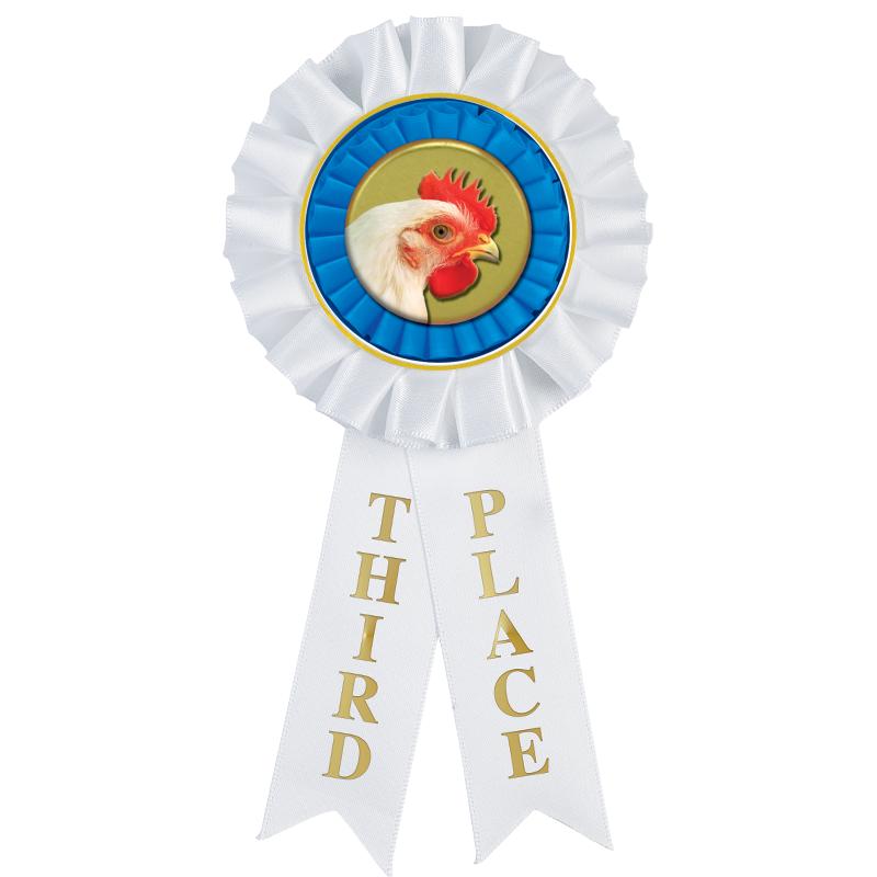 3RD PLACE MYLAR ROSETTES