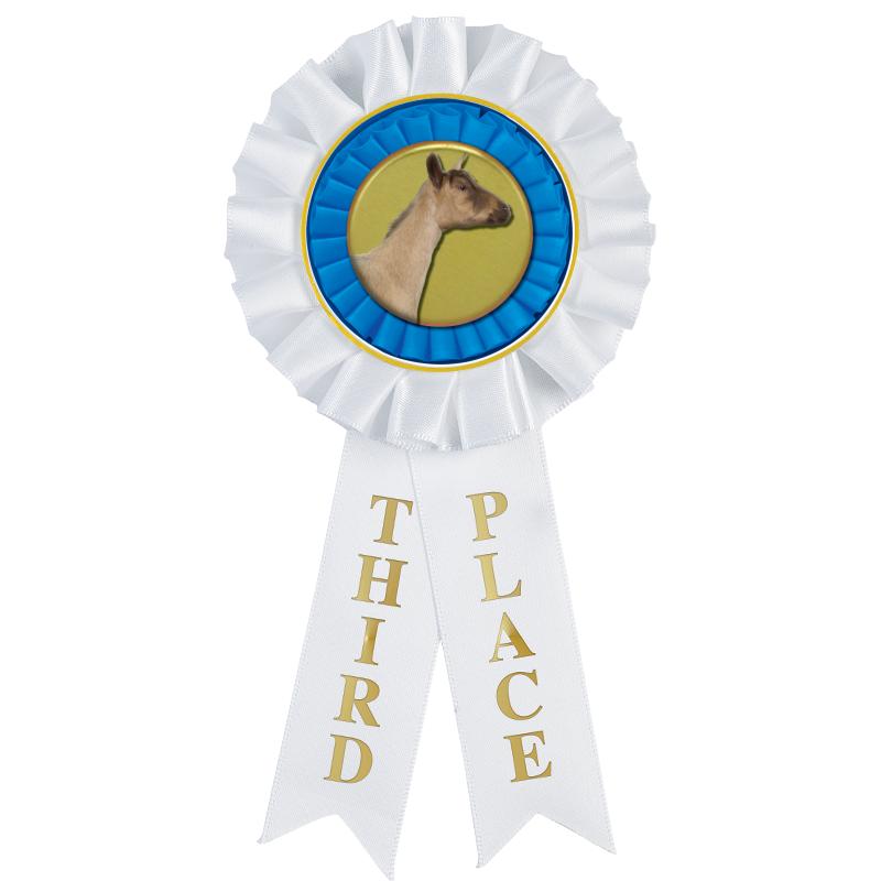 3RD PLACE MYLAR ROSETTES