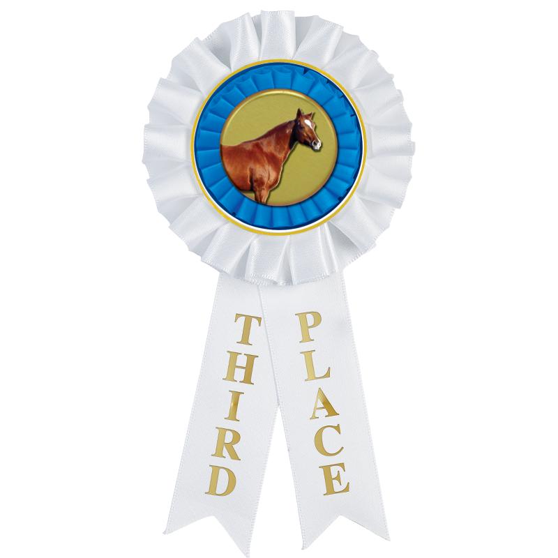 3RD PLACE MYLAR ROSETTES