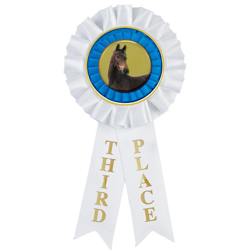 3RD PLACE MYLAR ROSETTES