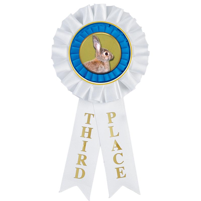 3RD PLACE MYLAR ROSETTES