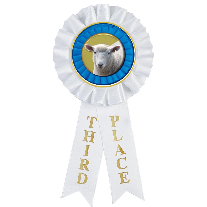 3RD PLACE MYLAR ROSETTES