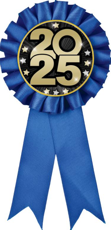 Blue Rosette Ribbon
