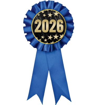Blue Rosette Ribbon