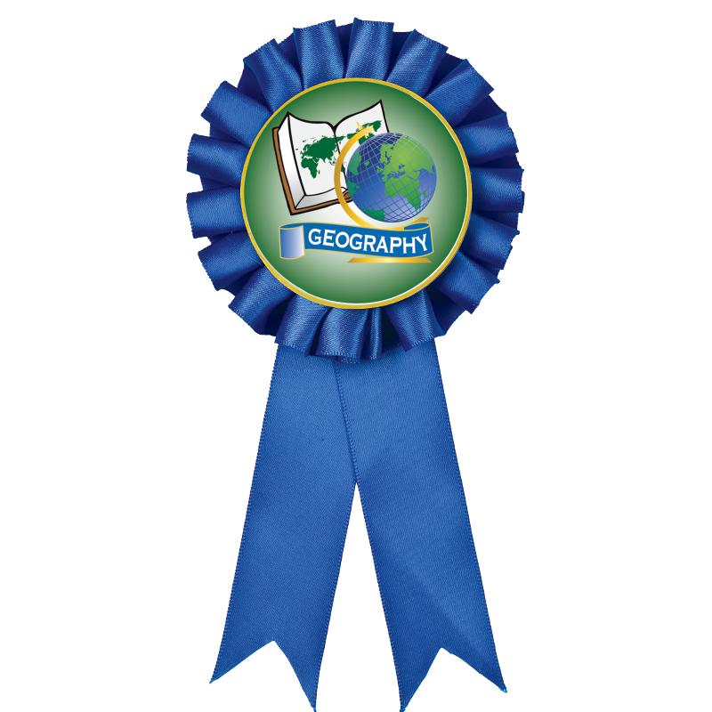 BLUE MYLAR ROSETTES