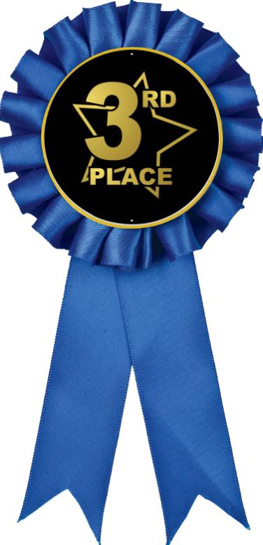 Color Insert Rosette 3rd Place Ribbons