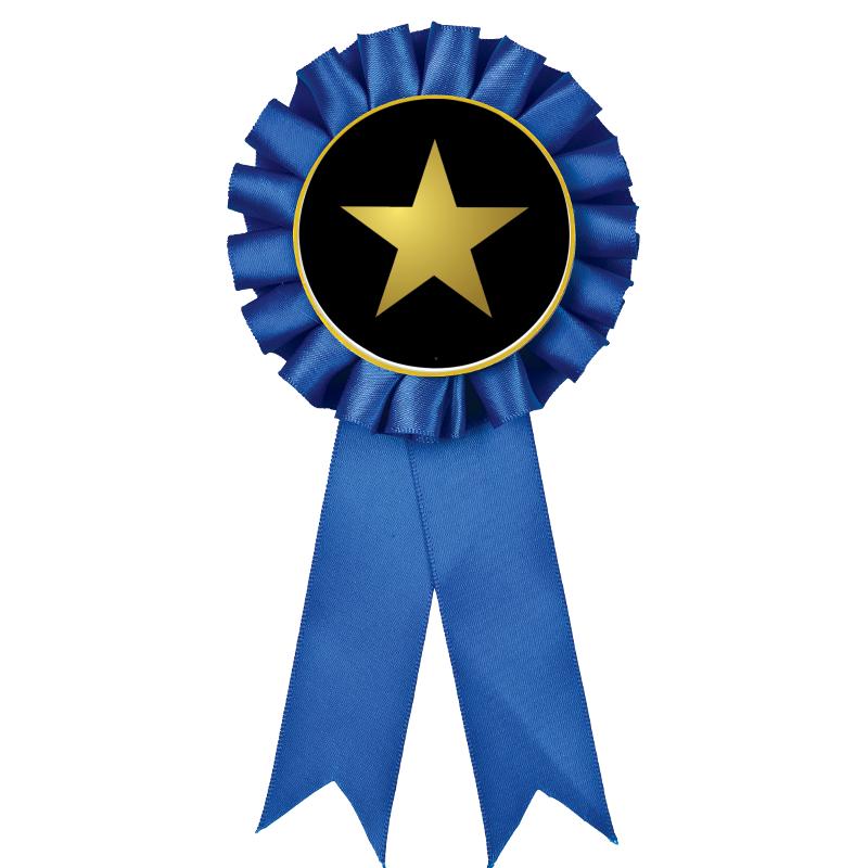 BLUE MYLAR ROSETTES