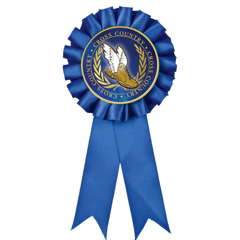 BLUE MYLAR ROSETTES