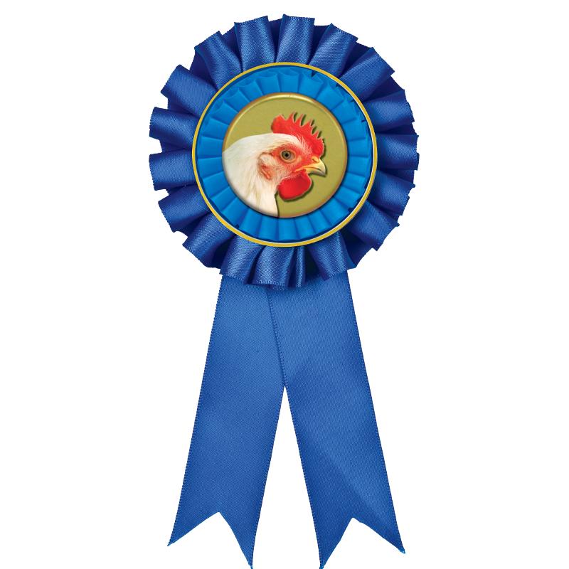 BLUE MYLAR ROSETTES