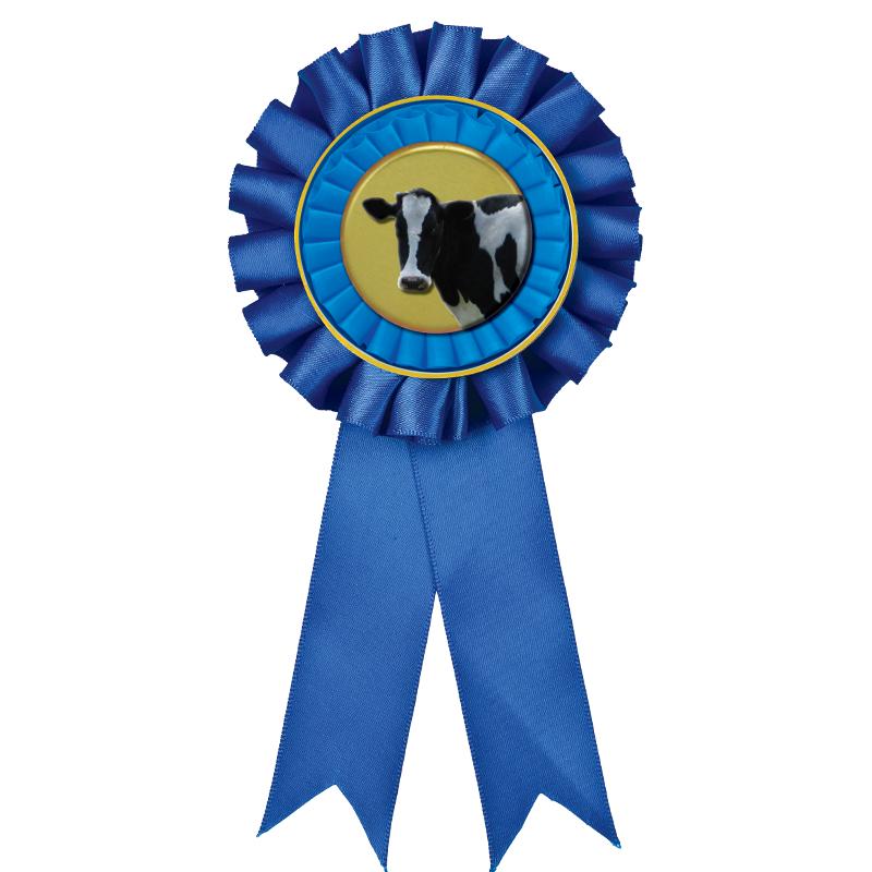 BLUE MYLAR ROSETTES