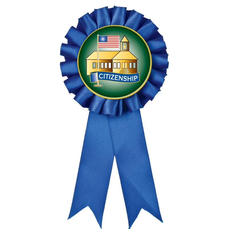 BLUE MYLAR ROSETTES