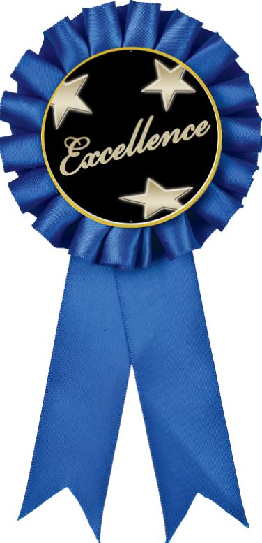 Amscan Winner Pin On Rosette Award Ribbons 6 Blue Pack Of 12