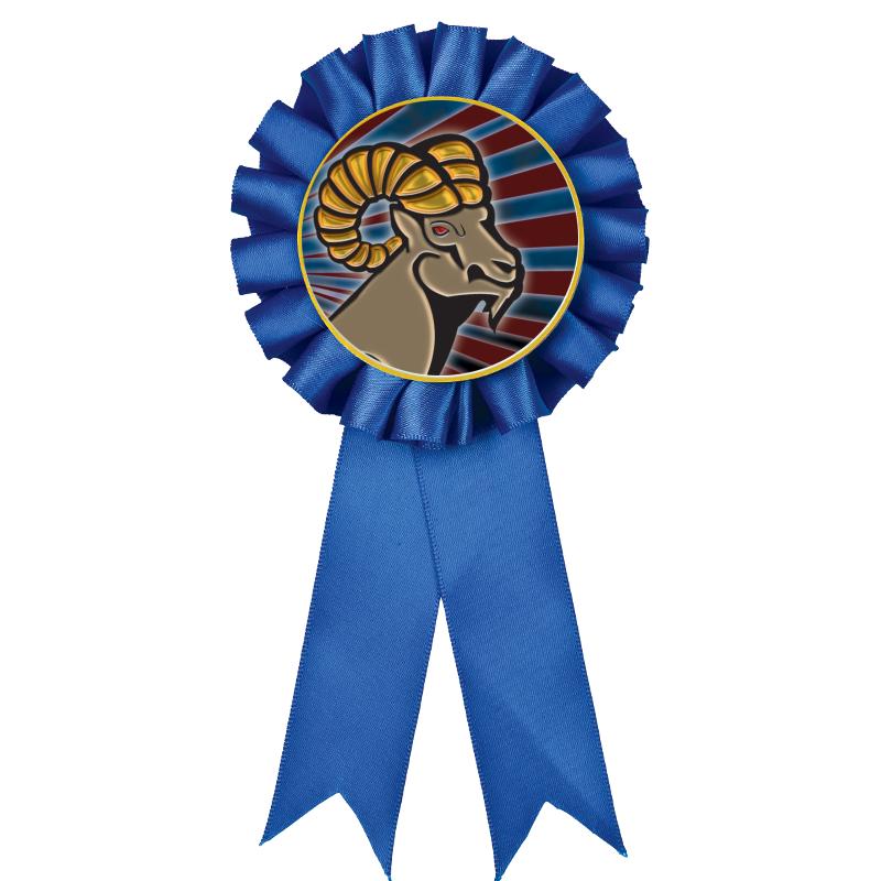 BLUE MYLAR ROSETTES