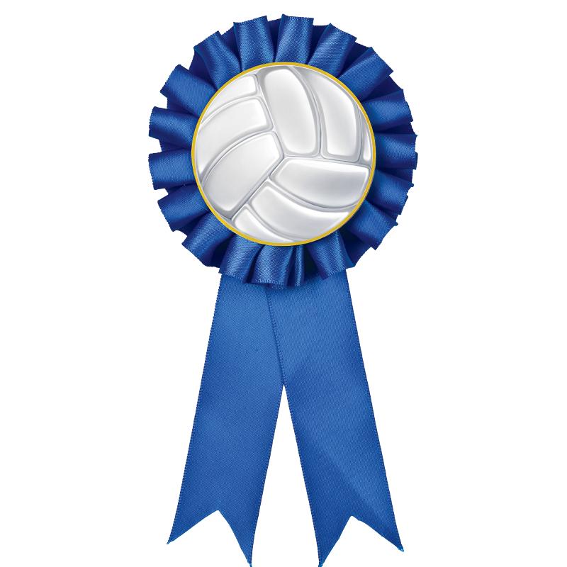 BLUE MYLAR ROSETTES