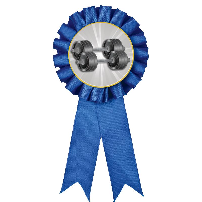 BLUE MYLAR ROSETTES