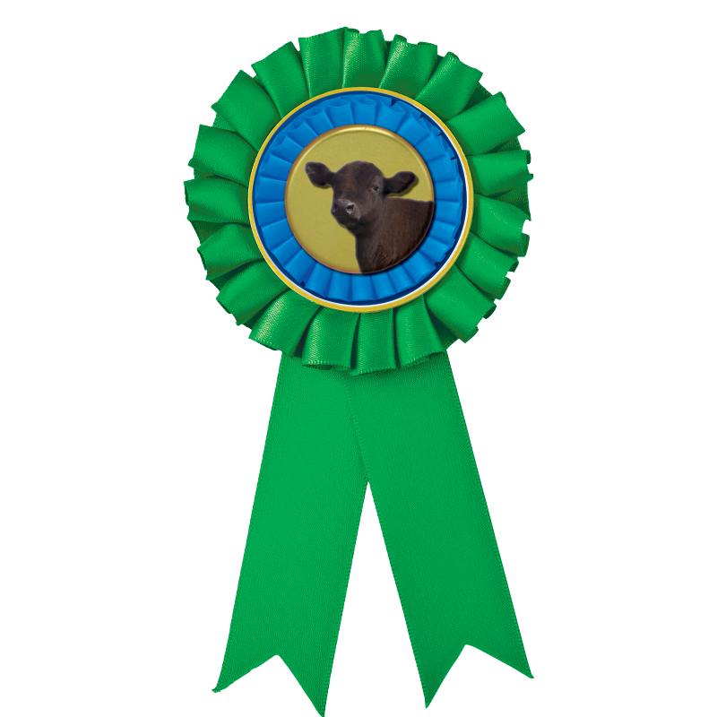 GREEN MYLAR ROSETTES