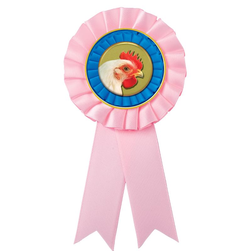PINK MYLAR ROSETTES