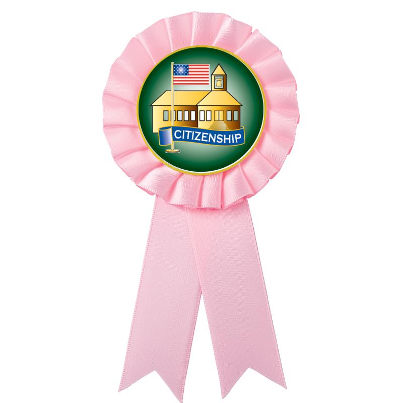 PINK MYLAR ROSETTES