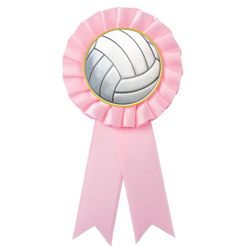 Volleyball Ribbons Crown Awards