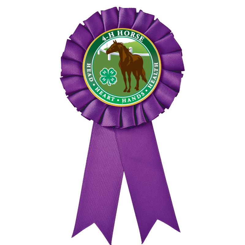 PURPLE MYLAR ROSETTES