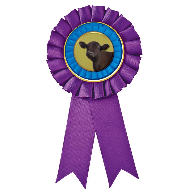 PURPLE MYLAR ROSETTES