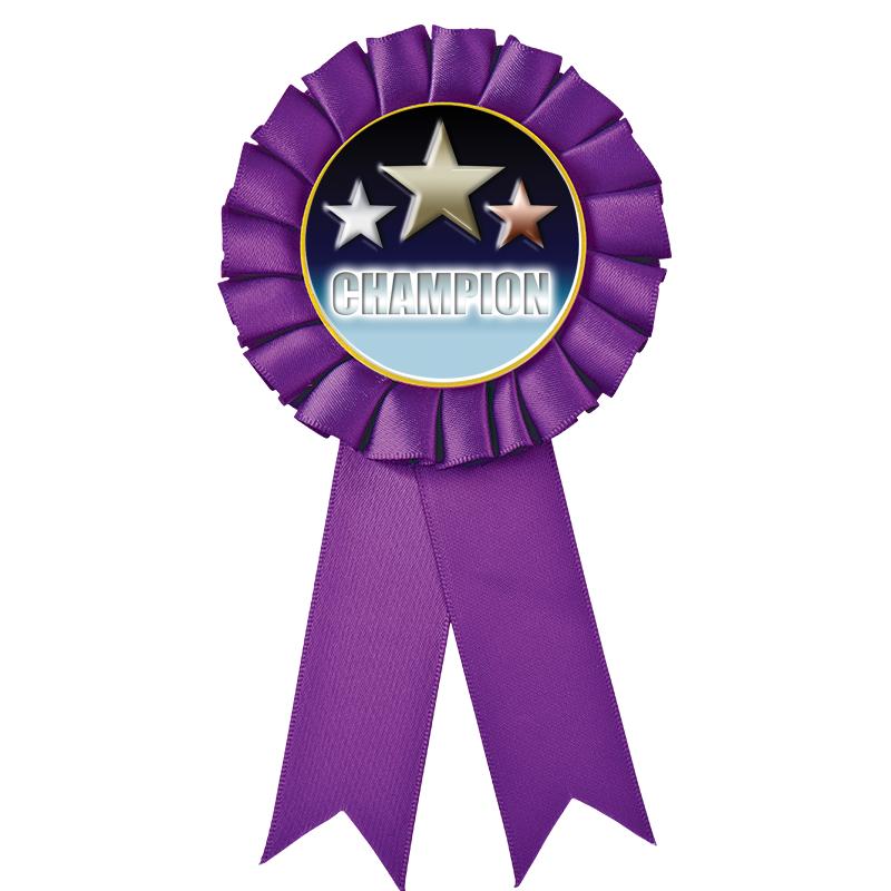 PURPLE MYLAR ROSETTES