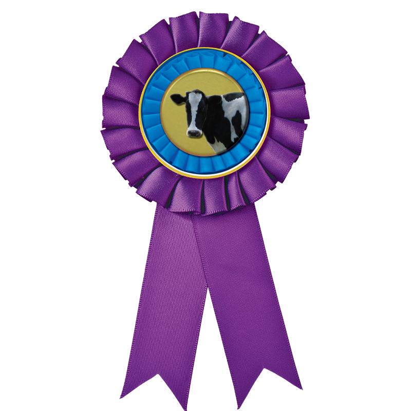 PURPLE MYLAR ROSETTES