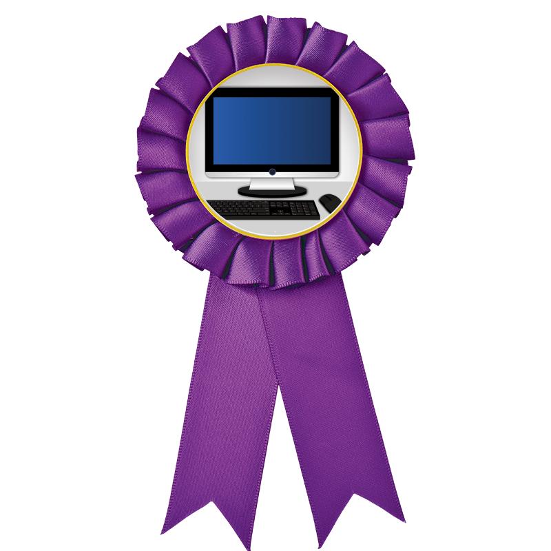 PURPLE MYLAR ROSETTES