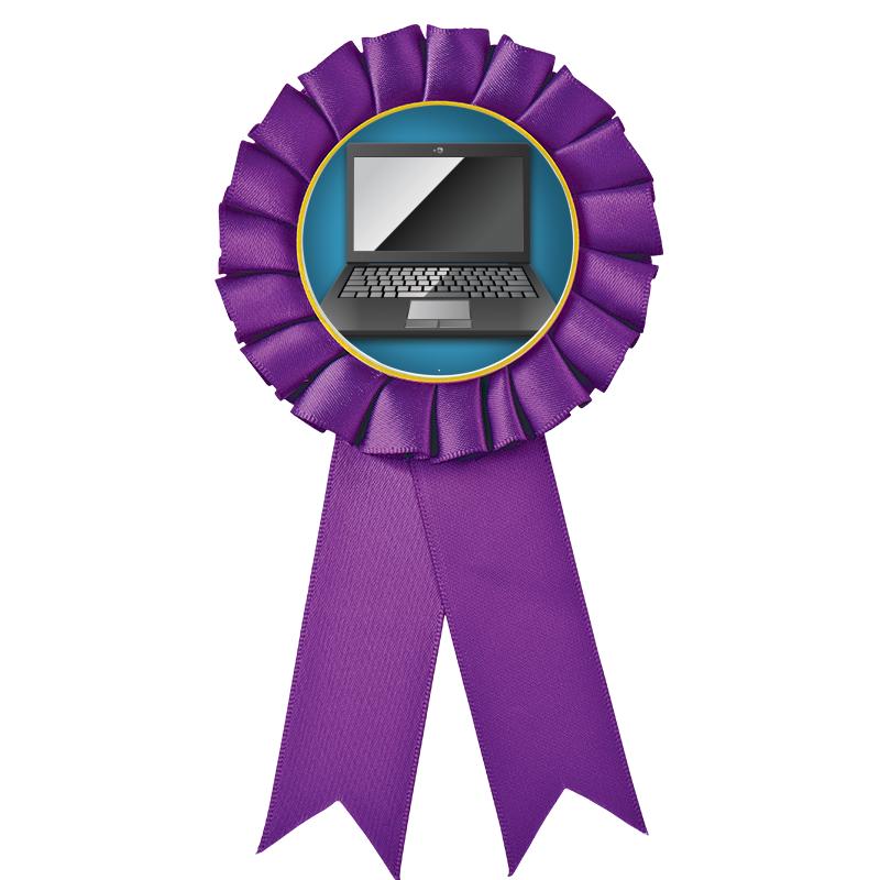 PURPLE MYLAR ROSETTES