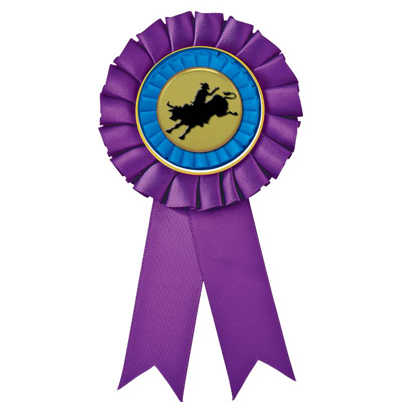 PURPLE MYLAR ROSETTES