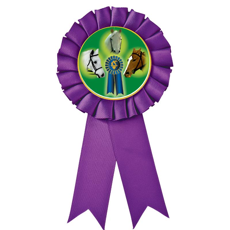 PURPLE MYLAR ROSETTES