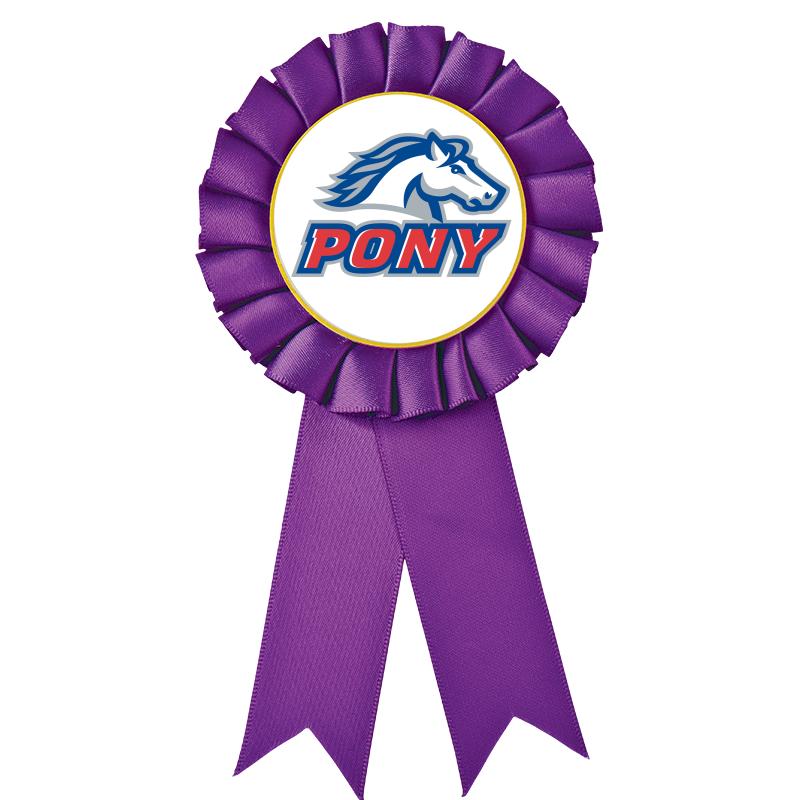 PURPLE MYLAR ROSETTES