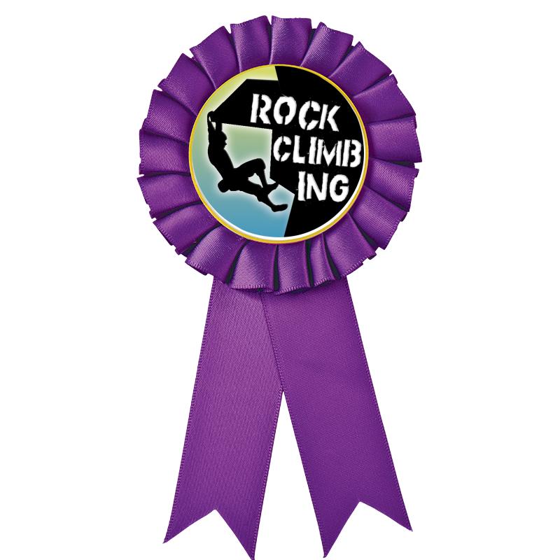 PURPLE MYLAR ROSETTES