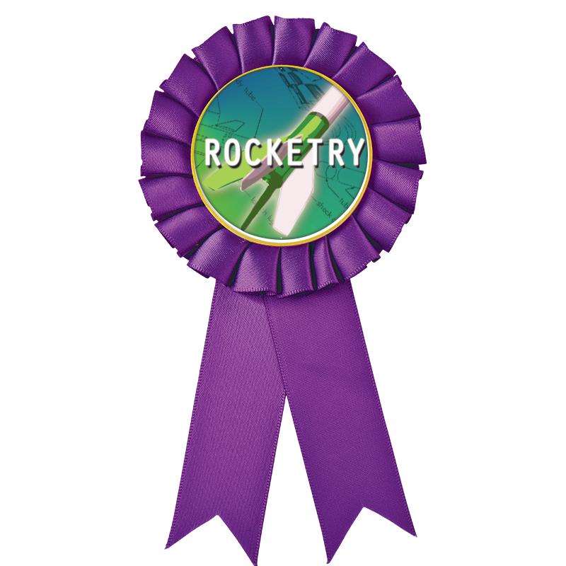 PURPLE MYLAR ROSETTES