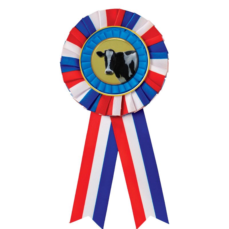 RED/WHITE/BLUE MYLAR ROSETTES