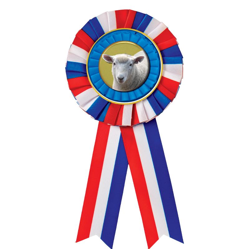 RED/WHITE/BLUE MYLAR ROSETTES