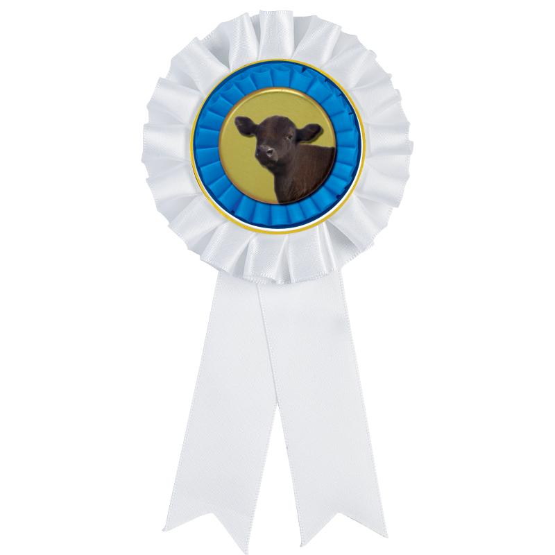 WHITE MYLAR ROSETTES