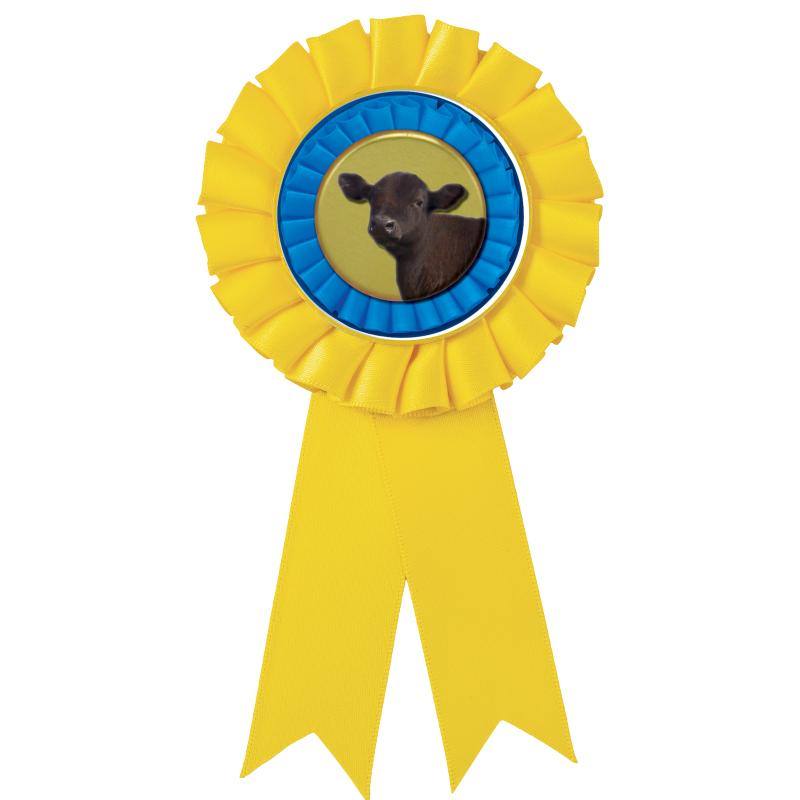 YELLOW MYLAR ROSETTES