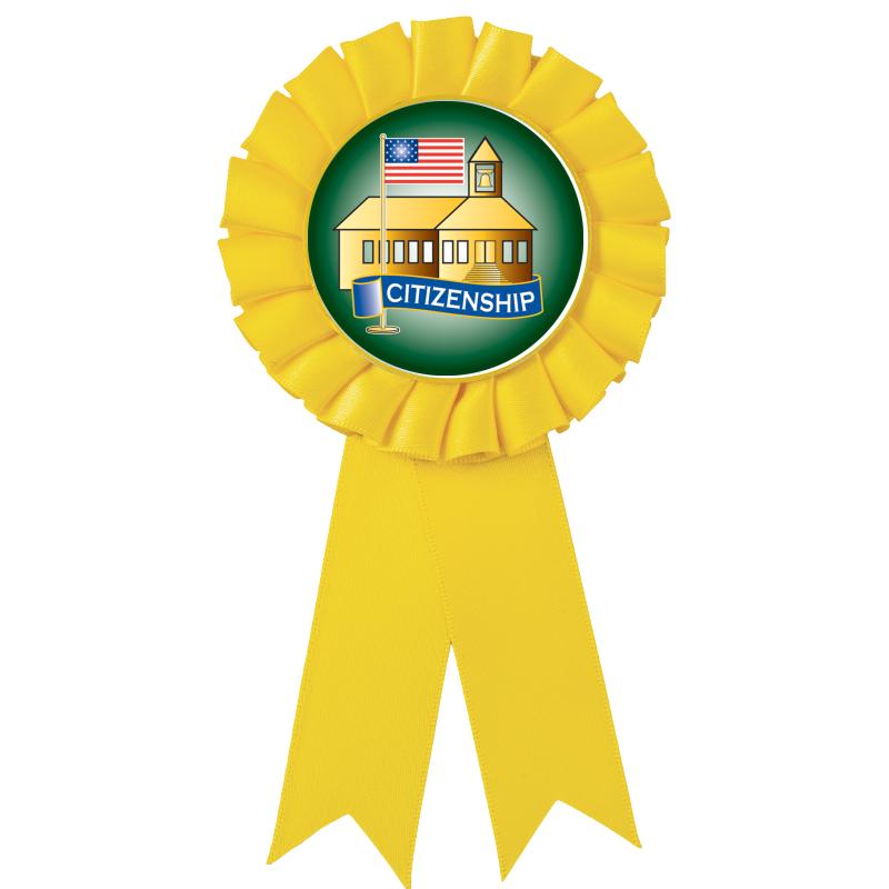 YELLOW MYLAR ROSETTES