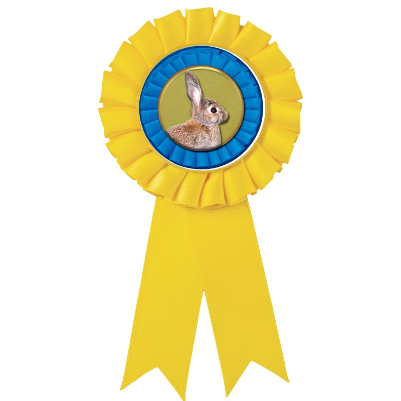 YELLOW MYLAR ROSETTES