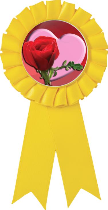 Color Insert Rosette Valentines Day Ribbons