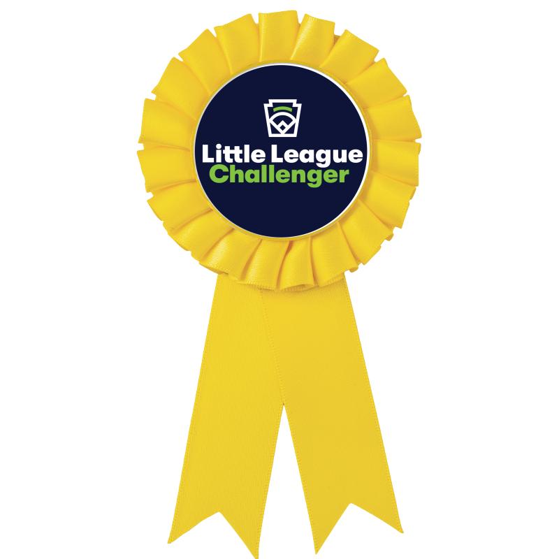 YELLOW MYLAR ROSETTES