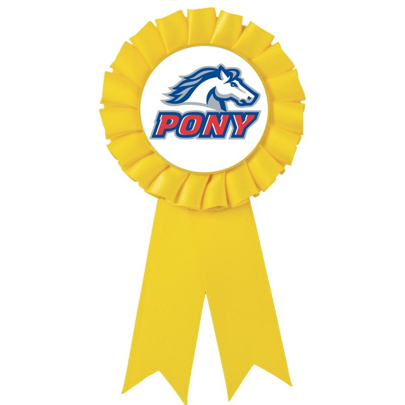 YELLOW MYLAR ROSETTES