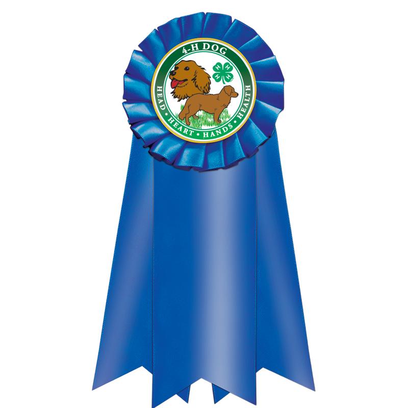 7" JUMBO BLUE MYLAR ROSETTE