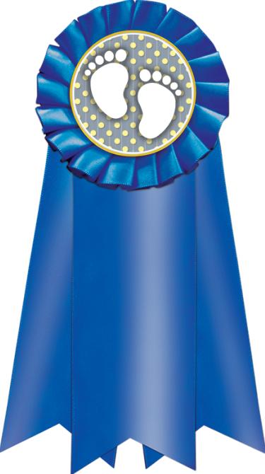 jumbo rosettes jumbo blue rosette baby ribbon crown awards