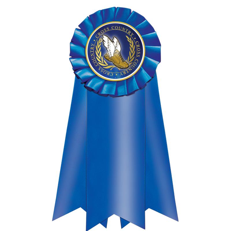 7" JUMBO BLUE MYLAR ROSETTE